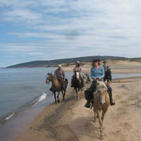 Horse Riding Tour Cape Breton