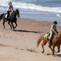 Horse Riding