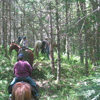 Horse Riding Tour Cape Breton